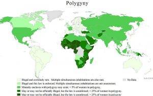 That Ankh Life The Benefits and Challenges of Polygyny in Black America